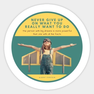 Never Give Up On What You Really Want To Do Sticker